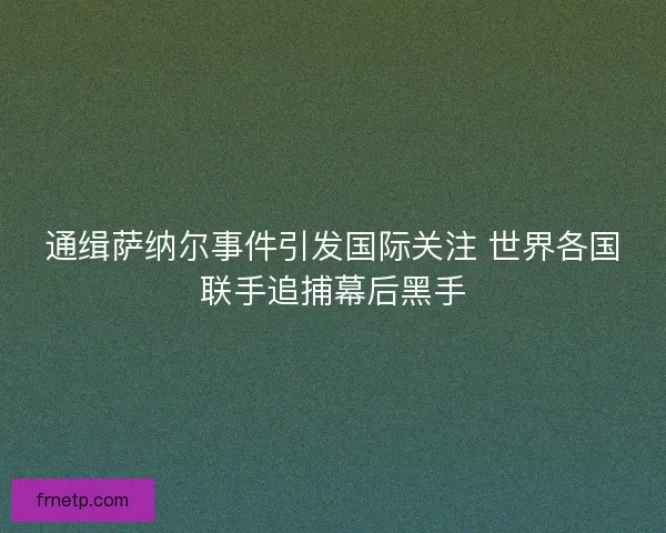 通缉萨纳尔事件引发国际关注 世界各国联手追捕幕后黑手 通缉萨纳尔事件引发国际关注 世界各国联手追捕幕后黑手
