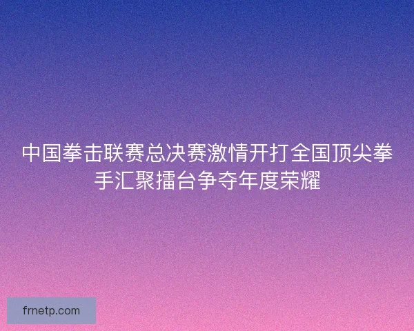 中国拳击联赛总决赛激情开打全国顶尖拳手汇聚擂台争夺年度荣耀